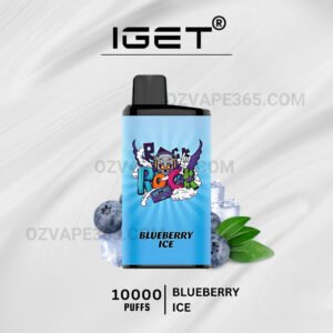 IGET Bar Pro 10000 Puffs Blueberry Ice