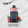 Iget One 12000 Puffs Blueberry Raspberry