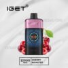 Iget One 12000 Puffs Cherry Monster