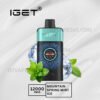 Iget One 12000 Puffs Mountainspring Mint Ice