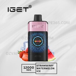 Iget One 12000 Puffs Strawberry Watermelon Ice
