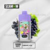 $CAMM AS 15000 Puffs Grape Ice 1 $CAMM AS 15000 Puffs Grape Ice