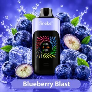 SOEKE S9 28000 Puffs Blueberry Blast